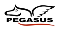 PEGASUS